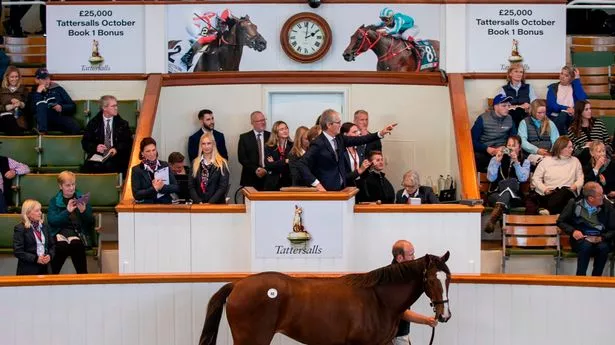 Football agent splashes more than £8million on three new signings for racing team