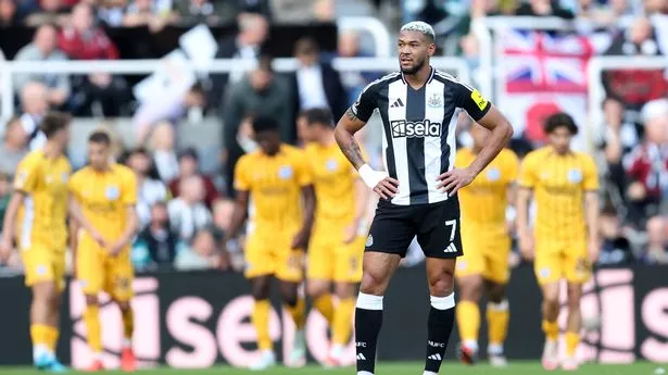 Newcastle have to rip up stagnant squad after ignoring Eddie Howe transfer plea
