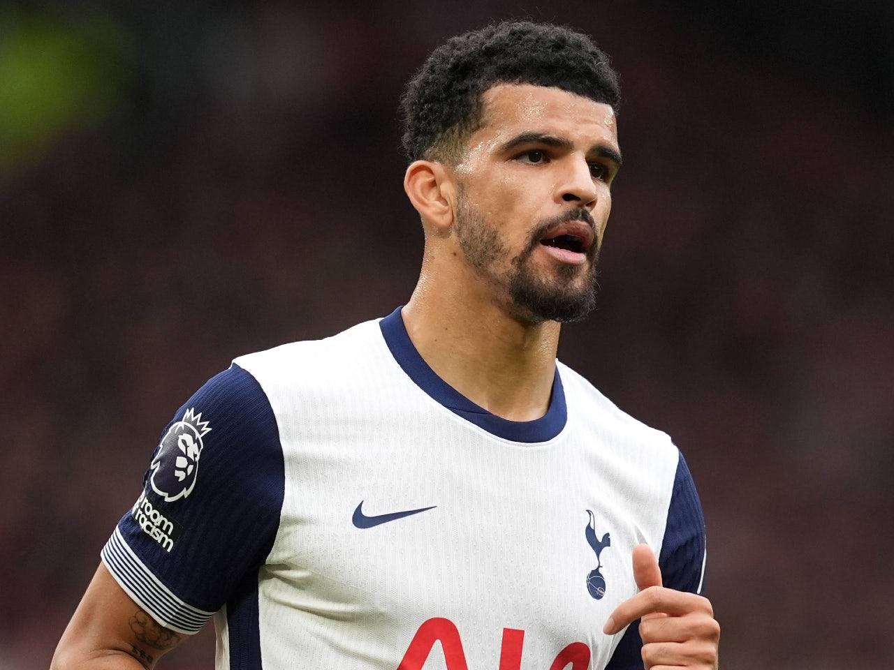 Ange Postecoglou explains Dominic Solanke absence from Tottenham squad against Fulham