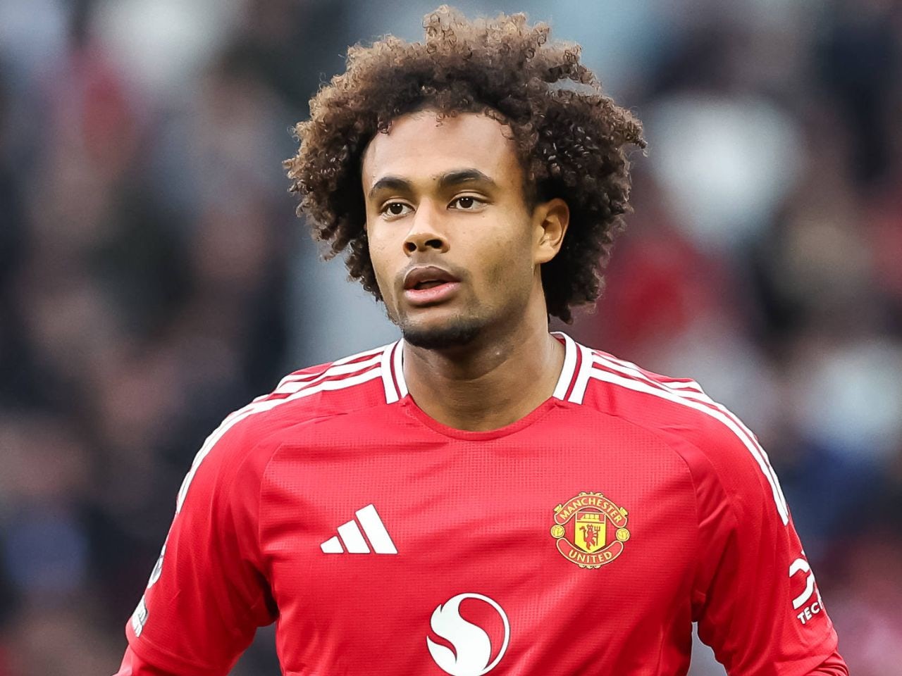 Man United striker Joshua Zirkzee 'willing to entertain' Italy return in January transfer window