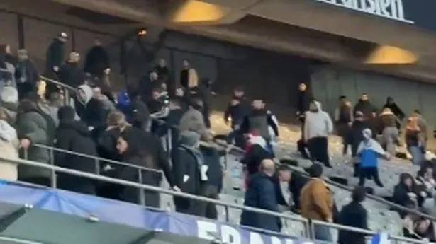 France and Israel fans fight during match as supporters run away screaming