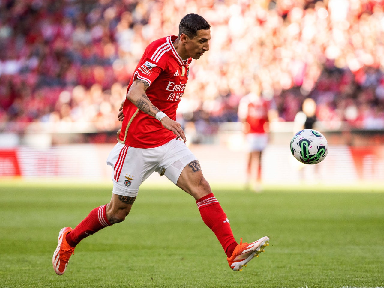 Preview: SC Farense vs. Benfica - prediction, team news, lineups
