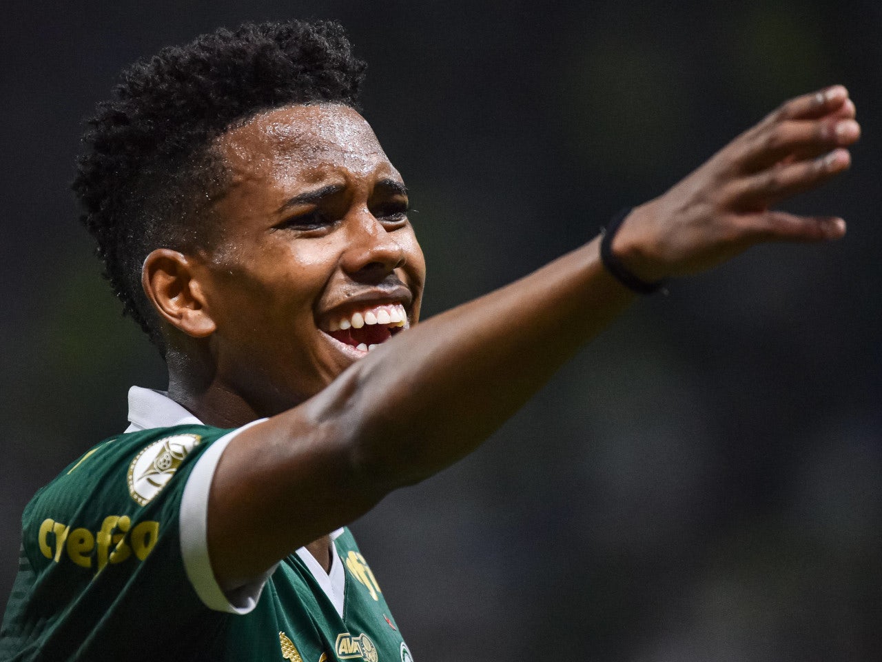 Preview: Palmeiras vs. Sporting Cristal - prediction, team news, lineups