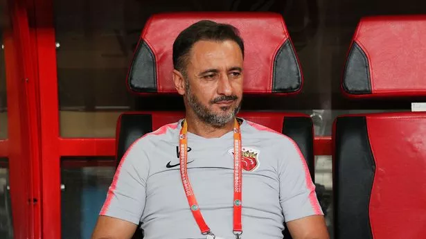 Wolves waste no time as they confirm appointment of Gary O’Neil’s replacement