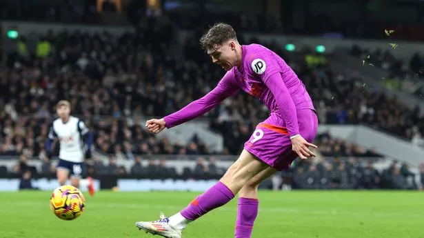 Tottenham pay price for familiar mistakes as Wolves pile pressure on Ange Postecoglou