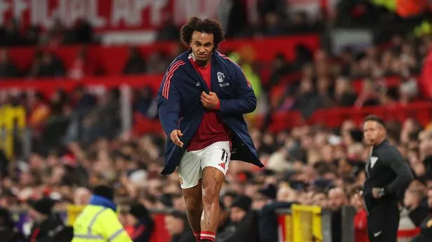 Joshua Zirkzee ‘reduced to tears’ by Man Utd fans after brutal reaction to substitution