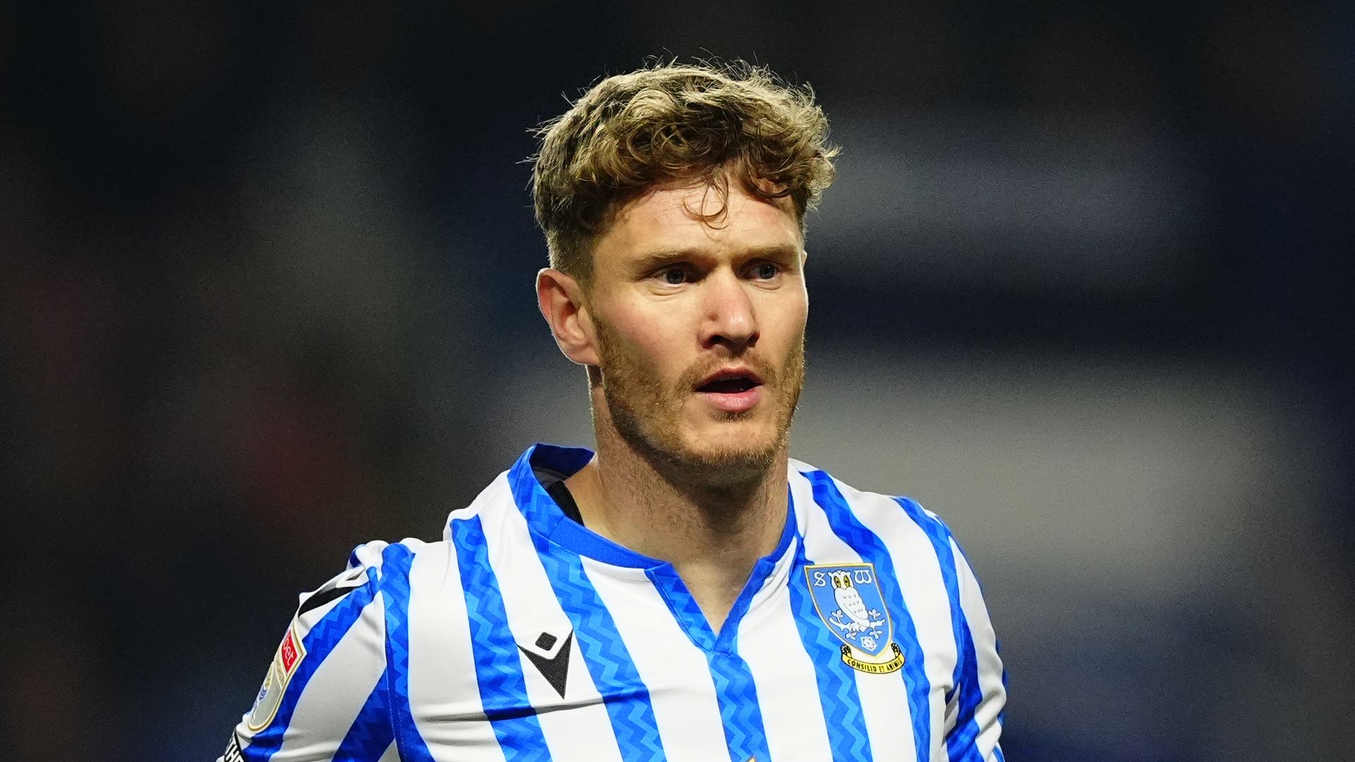 Sheff Wed hit back to hold Preston