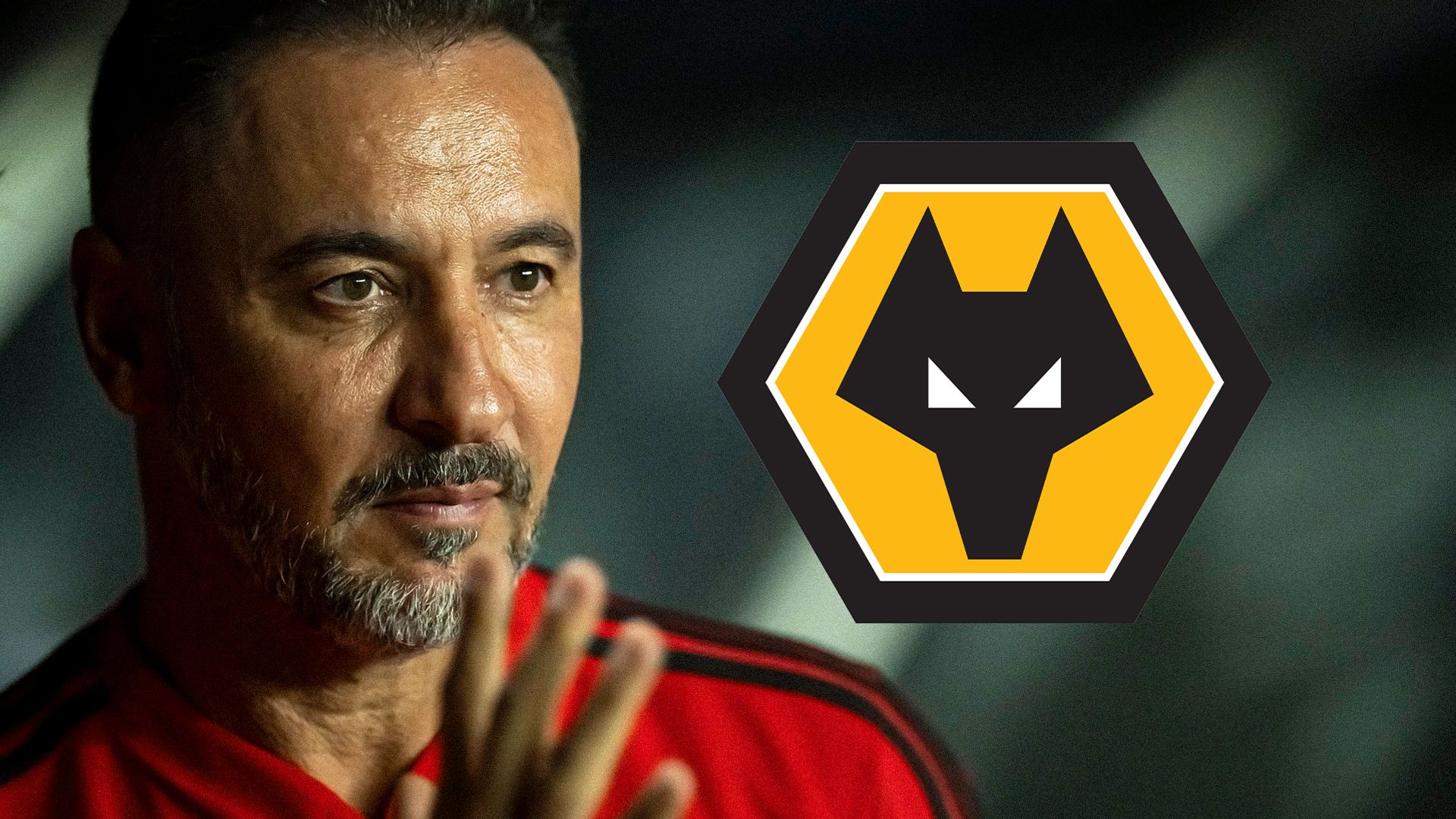 Wolves hope to appoint Pereira within next 48 hours