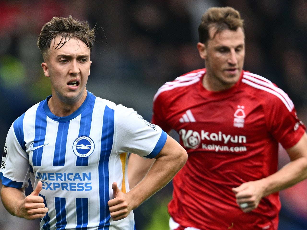 Nottingham Forest vs. Brighton & Hove Albion: Head-to-head record and past meetings