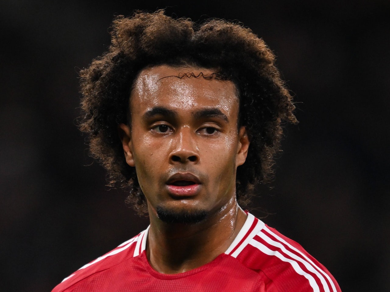 Struggling Man United forward Joshua Zirkzee 'falls out' with Ruben Amorim as Serie A return 'draws closer'