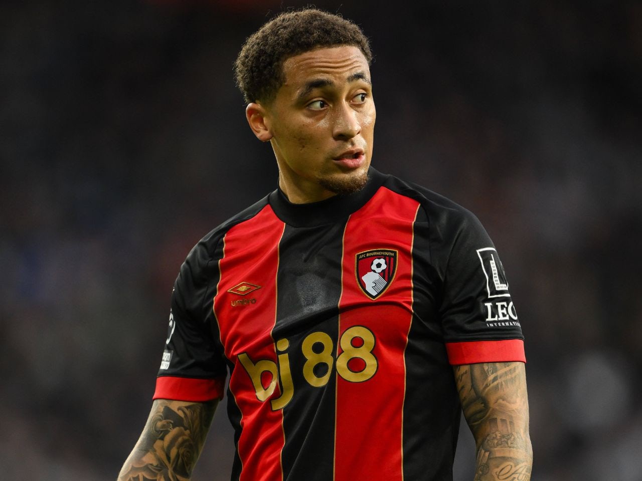 Bournemouth lineup vs. Wolverhampton Wanderers: Predicted XI for Premier League clash
