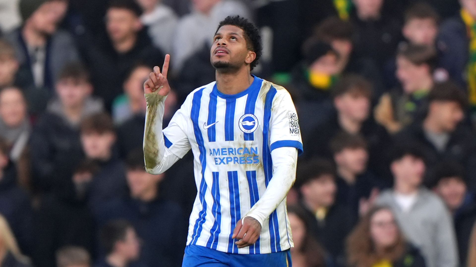 Rutter at the double as Brighton thump Norwich