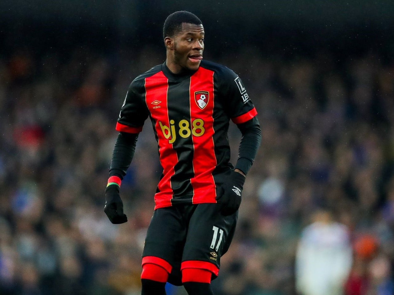 Bournemouth lineup vs. Southampton: Predicted XI for Premier League clash