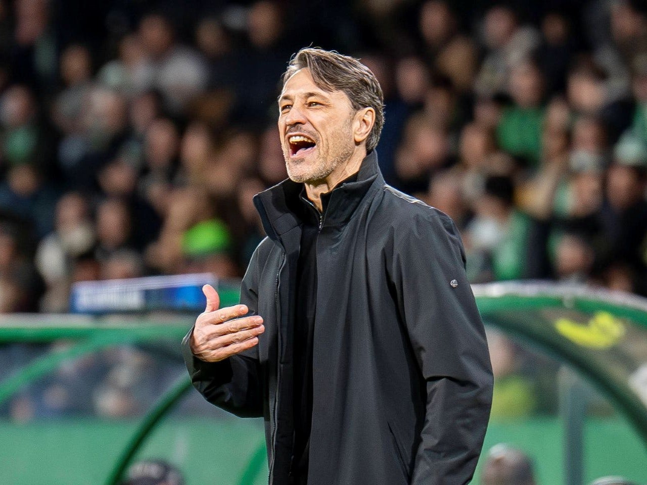 Preview: Borussia Dortmund vs. Sporting Lisbon - prediction, team news, lineups