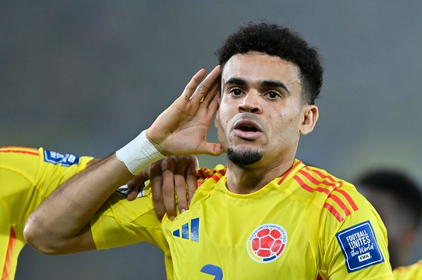 Liverpool fans in complete agreement on Luis Diaz after Colombia performance