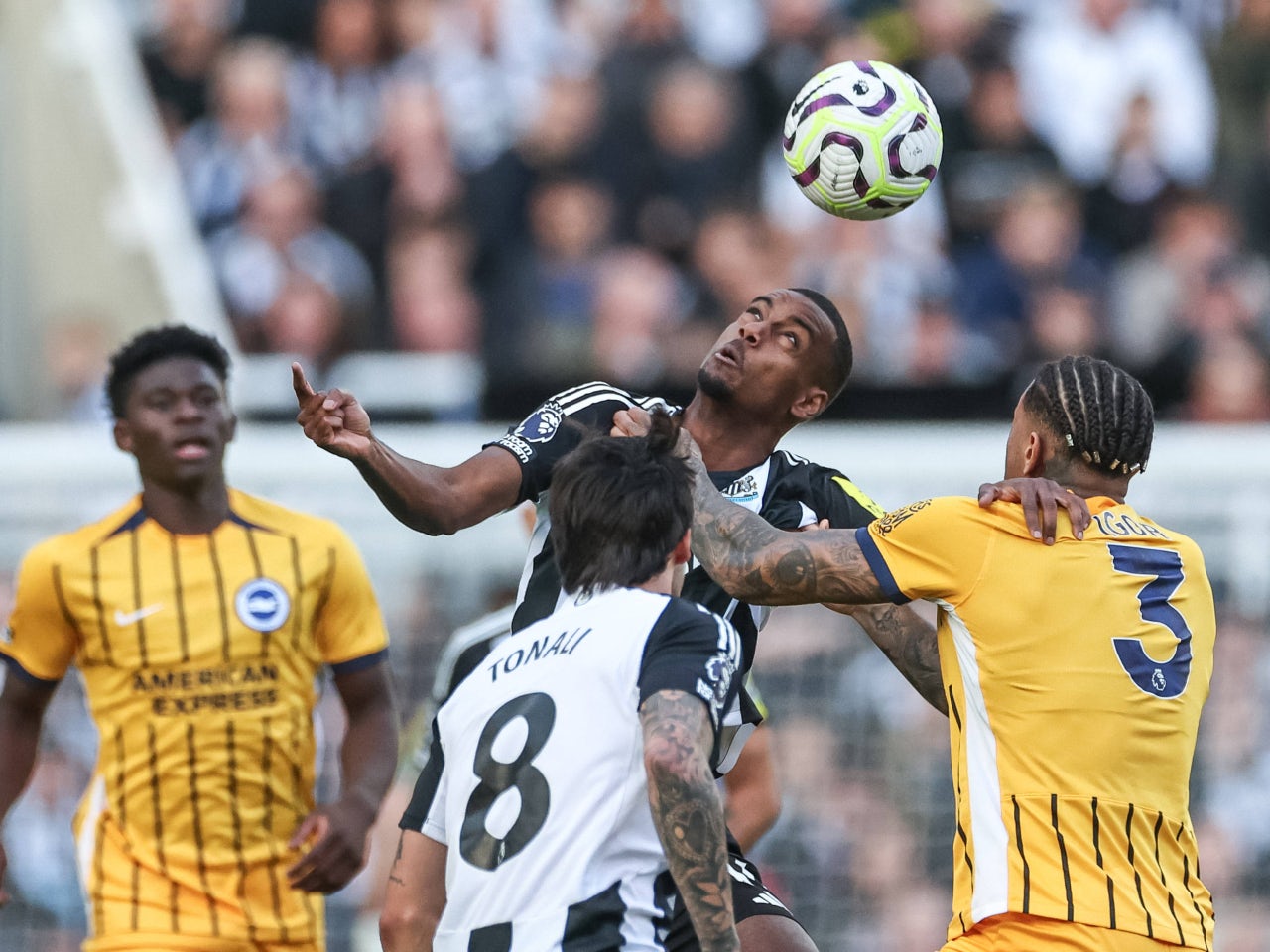 Newcastle United vs. Brighton & Hove Albion: Head-to-head record and past meetings
