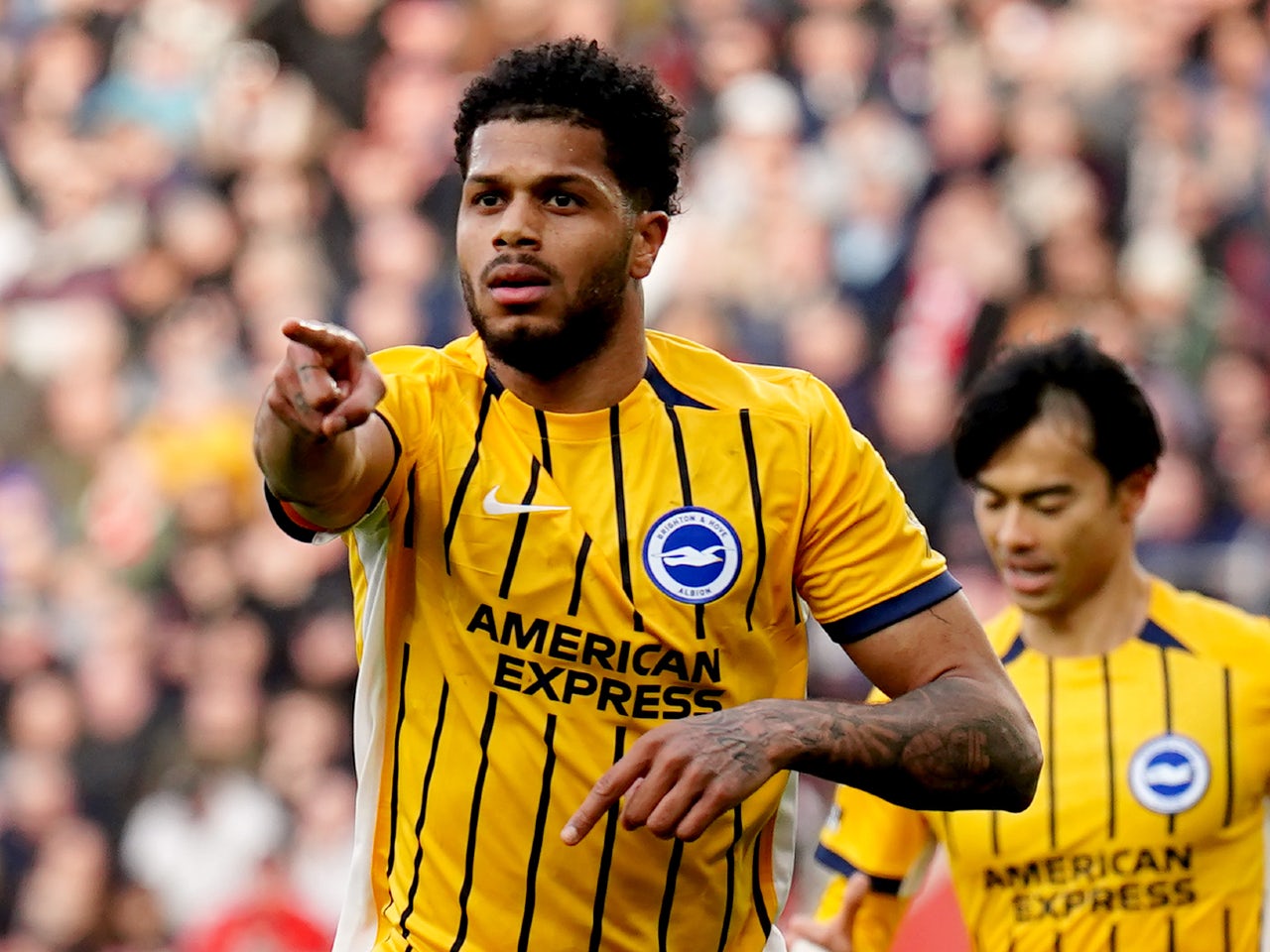 Team News: Brighton & Hove Albion vs. Nottingham Forest injury, suspension list, predicted XIs