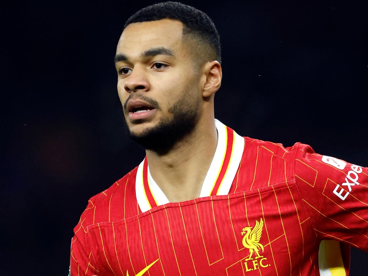 Liverpool injury, suspension list and return dates for PSG: Cody Gakpo latest as five players walk tightrope