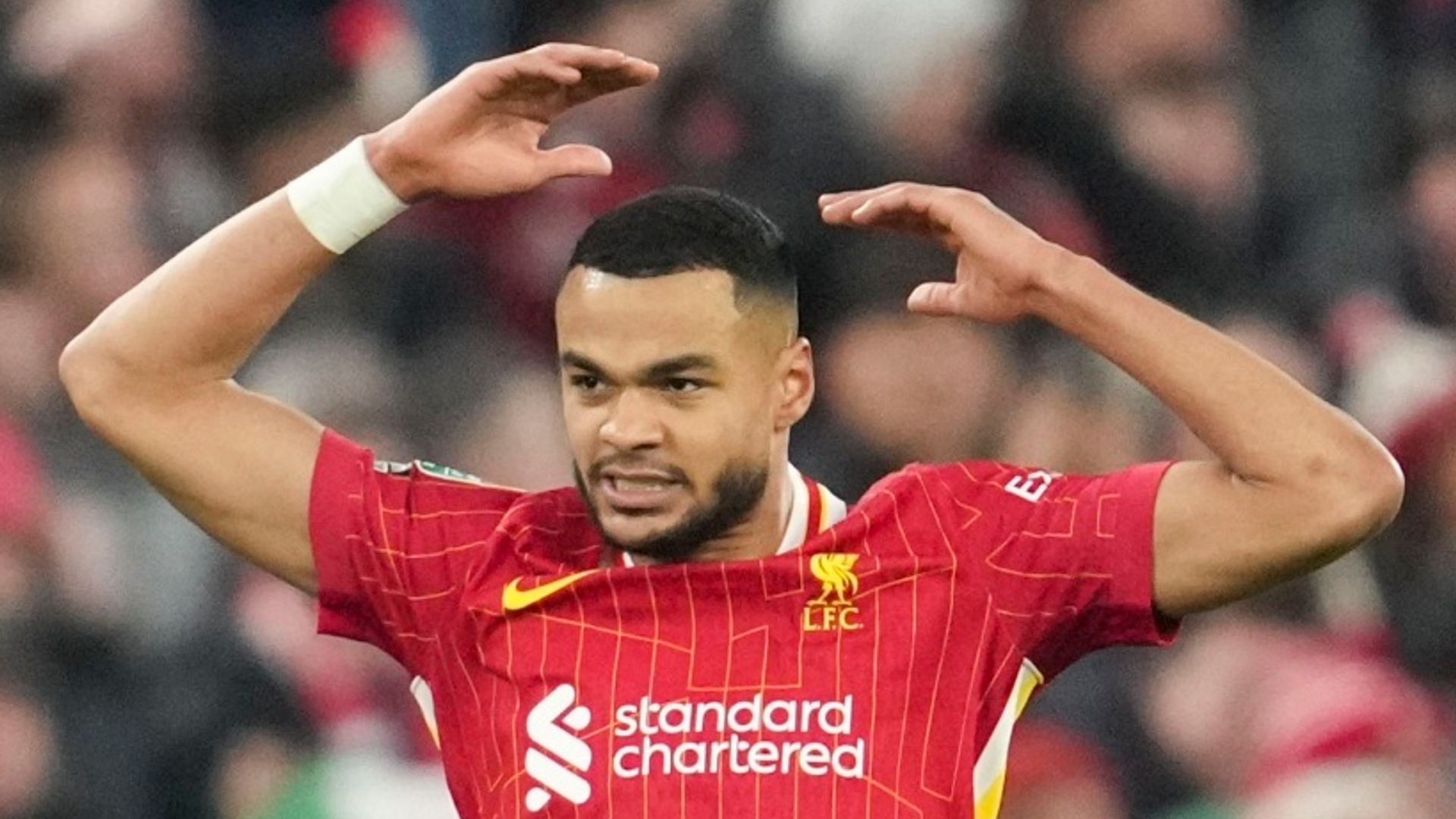 Liverpool vs Southampton preview: Gakpo a doubt