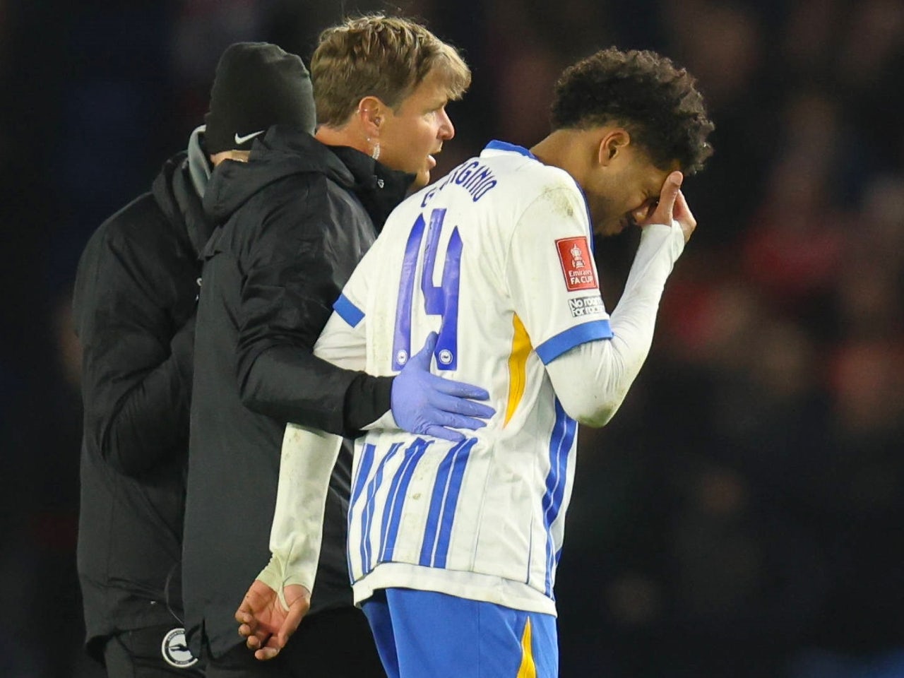 Brighton injury news: Fabian Hurzeler delivers worrying Georginio Rutter, Adam Webster update before Aston Villa clash