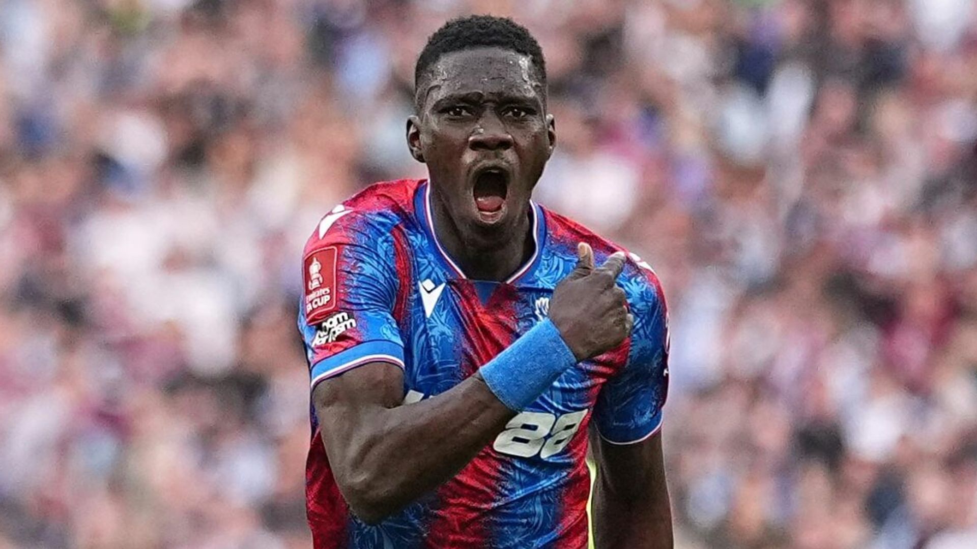 Crystal Palace swat Villa aside to reach FA Cup final