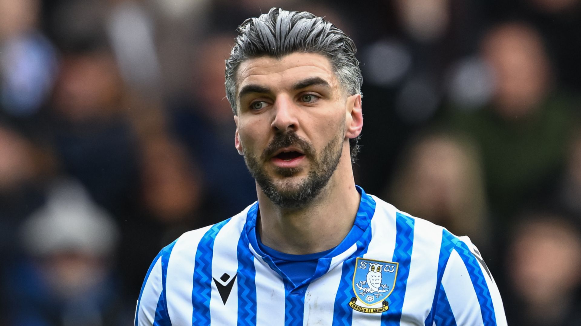 Portsmouth hit back to hold Sheff Wed