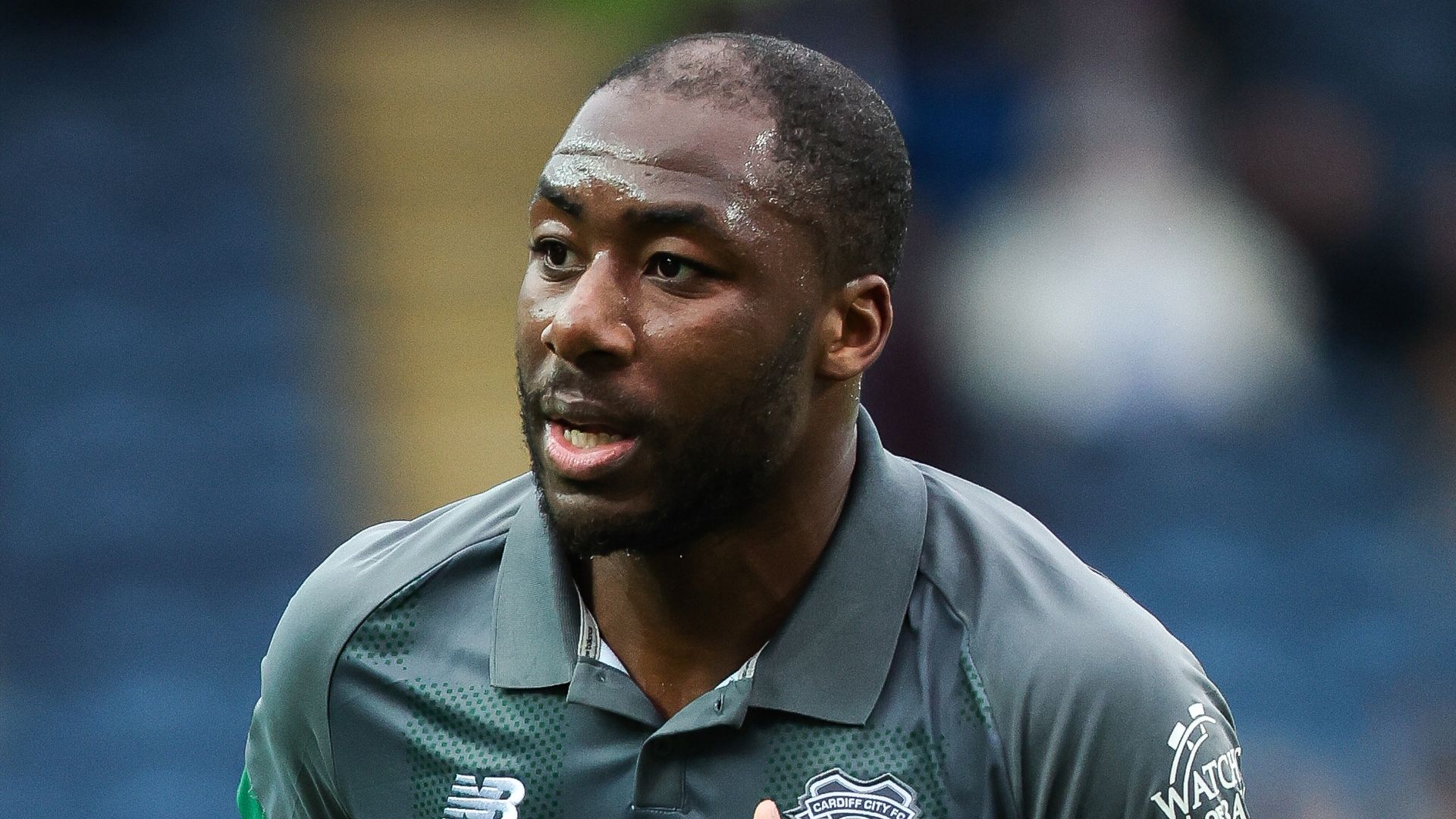 Cardiff nick late point at Preston