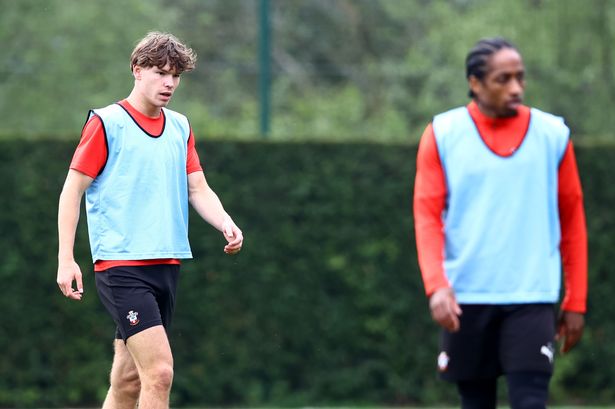 7 Southampton stars set for transfers as Premier League clubs take advantage of drop