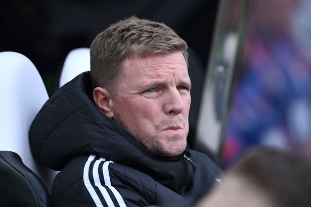 Brighton & Hove Albion vs Newcastle United prediction, betting preview, odds and tips