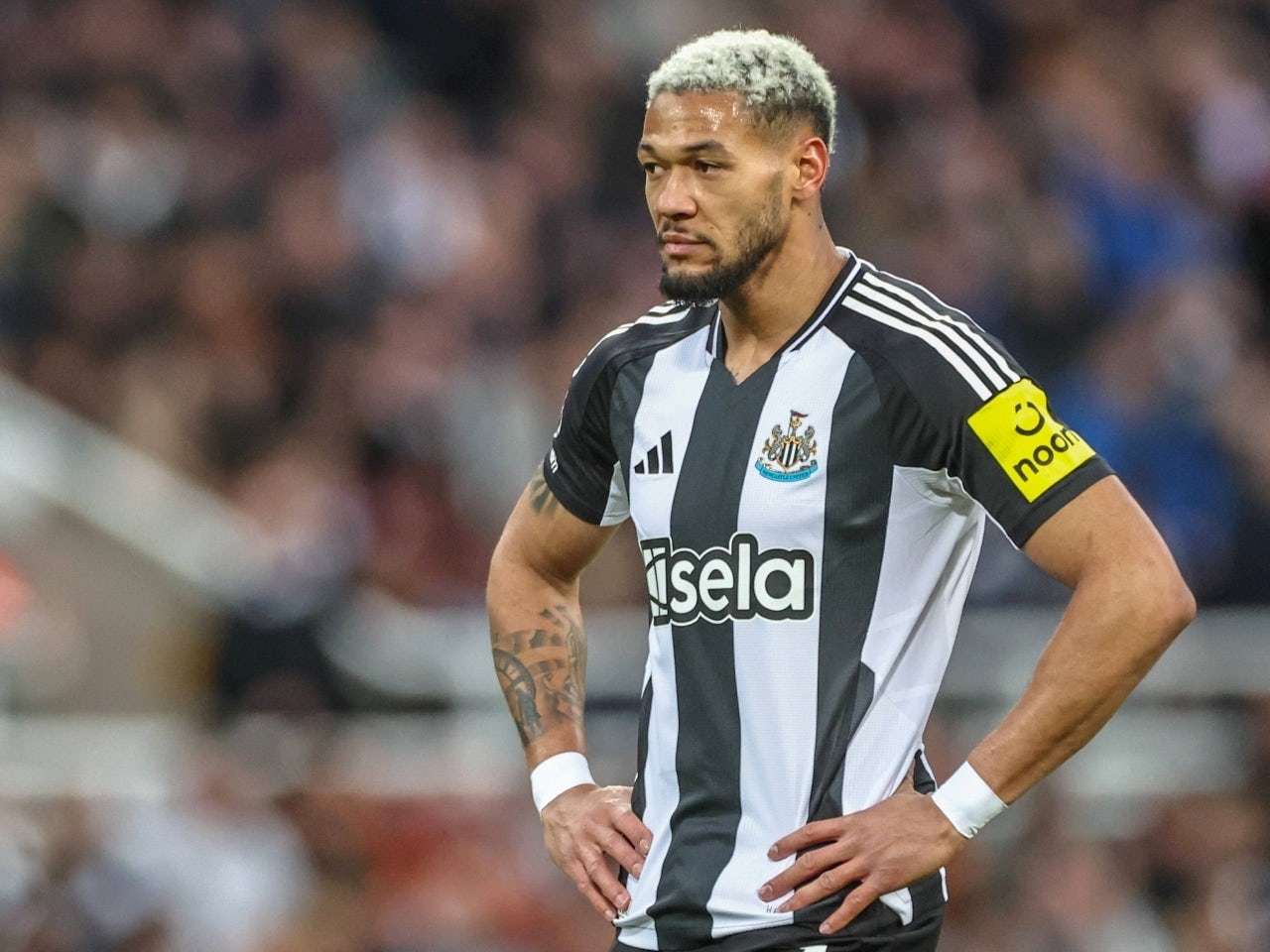 Newcastle United injury news: Latest Joelinton, Sven Botman updates delivered by Eddie Howe before Brighton trip