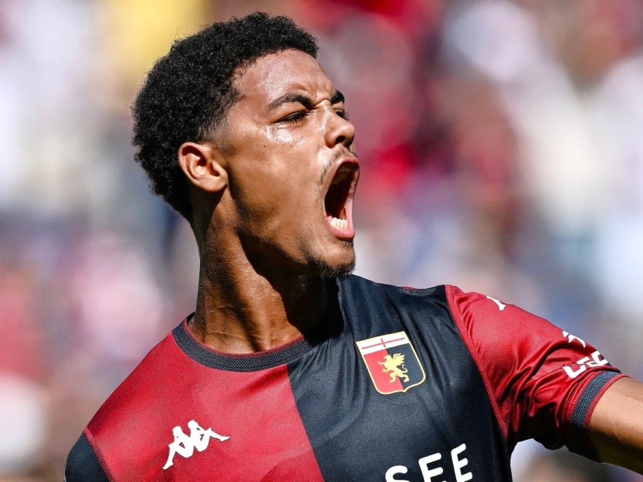 Tottenham transfer news: Spurs in five-team battle for £25.2m 'next Vincent Kompany'