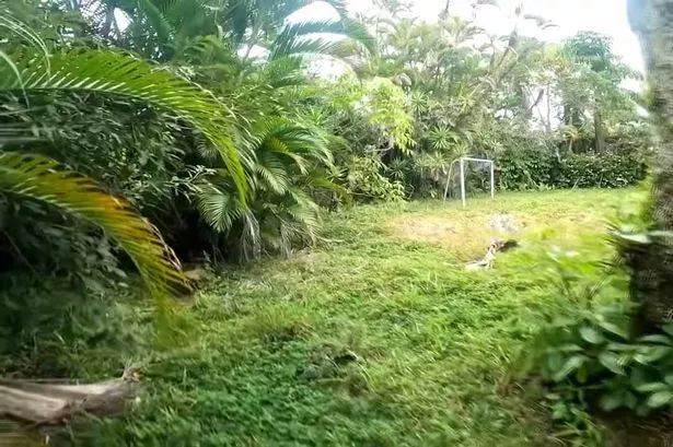 Inside Pele’s abandoned mansion with football pitch in garden taken over by nature