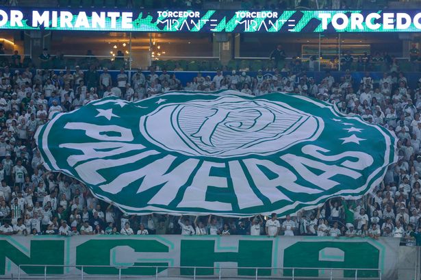 Palmeiras vs Botafogo Club World Cup prediction, betting preview, odds and tips