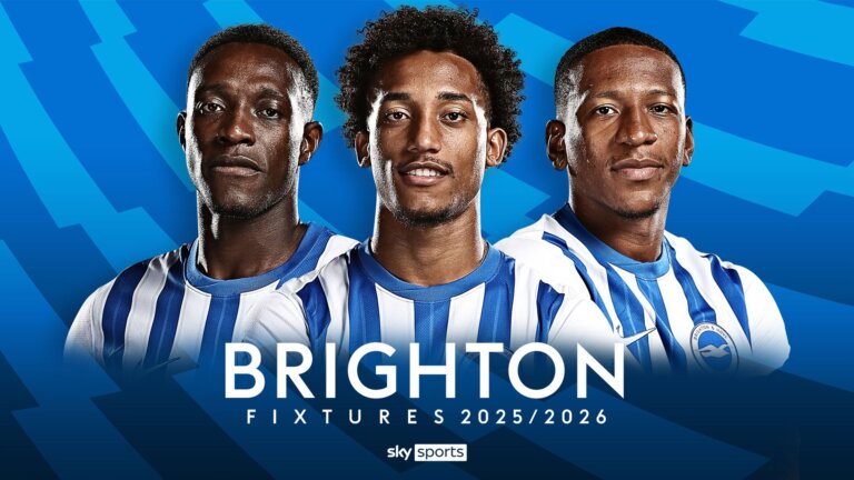 Brighton fixtures: Seagulls host Fulham on opening weekend