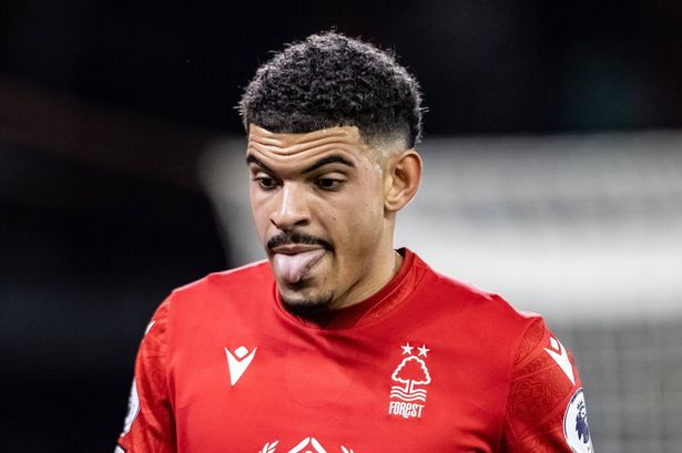 Tottenham handed Morgan Gibbs-White lifeline as Nottingham Forest make transfer plan
