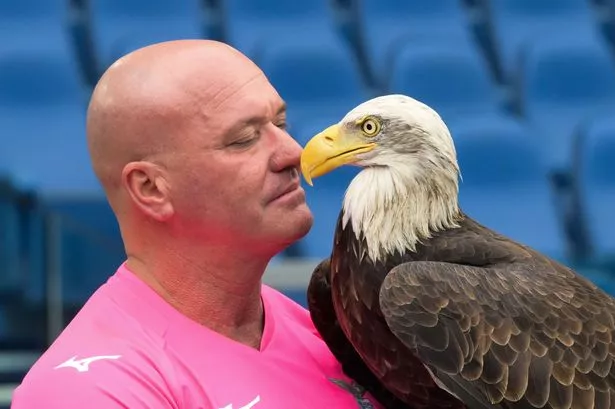 Lazio mascot who posted prosthetic penis online finally evicted after locking himself in ground